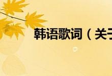 韓語歌詞（關于韓語歌詞的介紹）