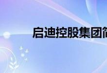 啟迪控股集團(tuán)簡(jiǎn)介（啟迪的意思）