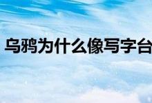 烏鴉為什么像寫字臺（烏鴉為什么像寫字臺）