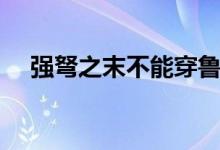 強弩之末不能穿魯縞啥意思（強弩之末）