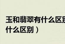 玉和翡翠有什么區(qū)別哪個(gè)價(jià)格高（玉和翡翠有什么區(qū)別）