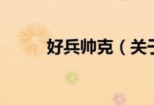 好兵帥克（關于好兵帥克的介紹）