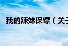 我的辣妹保鏢（關于我的辣妹保鏢的介紹）