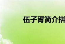 伍子胥簡(jiǎn)介拼音（伍子胥簡(jiǎn)介）