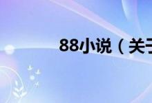 88小說(shuō)（關(guān)于88小說(shuō)的介紹）