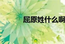 屈原姓什么?。ㄇ帐裁吹模?class=