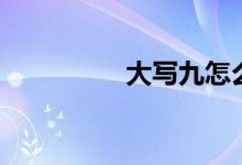 大寫九怎么寫（大寫九）