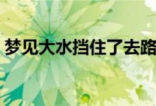 夢見大水擋住了去路是什么意思（夢見大水）