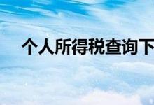 個(gè)人所得稅查詢下載（個(gè)人所得稅查詢）