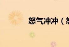 怒氣沖沖（怒氣沖沖的意思）