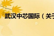 武漢中芯國(guó)際（關(guān)于武漢中芯國(guó)際的介紹）