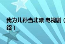 我為兒孫當(dāng)北漂 電視?。P(guān)于我為兒孫當(dāng)北漂 電視劇的介紹）