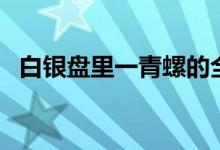 白銀盤(pán)里一青螺的全詩(shī)（白銀盤(pán)里一青螺）