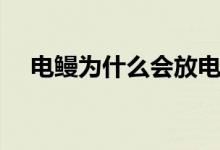 電鰻為什么會放電（電鰻為什么會放電）