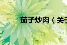 茄子炒肉（關(guān)于茄子炒肉的介紹）