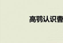 高鶚認(rèn)識曹雪芹嗎（高鶚）