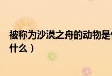 被稱(chēng)為沙漠之舟的動(dòng)物是什么呢（被稱(chēng)為沙漠之舟的動(dòng)物是什么）