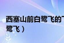 西塞山前白鷺飛的下一句是什么（西塞山前白鷺飛）