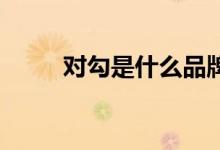 對(duì)勾是什么品牌（dg是什么品牌）