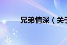 兄弟情深（關(guān)于兄弟情深的介紹）