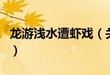 龍游淺水遭蝦戲（關(guān)于龍游淺水遭蝦戲的介紹）