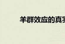 羊群效應(yīng)的真實(shí)事例（羊群效應(yīng)）