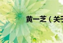 黃一芝（關于黃一芝的介紹）