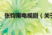 張鈞甯電視劇（關于張鈞甯電視劇的介紹）