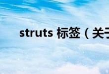 struts 標(biāo)簽（關(guān)于struts 標(biāo)簽的介紹）