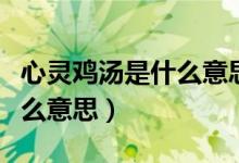 心靈雞湯是什么意思網(wǎng)絡(luò)用語(yǔ)（心靈雞湯是什么意思）