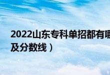 2022山東專科單招都有哪些學(xué)校（2022山東?？拼髮W(xué)排名及分?jǐn)?shù)線）