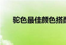 駝色最佳顏色搭配（駝色是什么顏色）