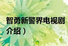 智勇新警界電視?。P(guān)于智勇新警界電視劇的介紹）