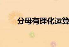 分母有理化運(yùn)算技巧（分母有理化）