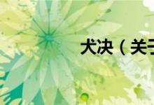 犬決（關于犬決的介紹）