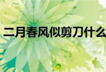 二月春風(fēng)似剪刀什么意思(二月春風(fēng)似剪刀)