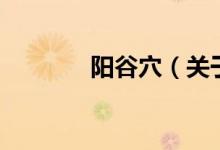 陽(yáng)谷穴（關(guān)于陽(yáng)谷穴的介紹）