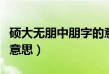 碩大無朋中朋字的意思（碩大無朋的朋是什么意思）