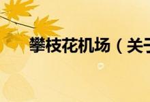 攀枝花機(jī)場（關(guān)于攀枝花機(jī)場的介紹）