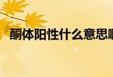 酮體陽性什么意思?。ㄍw陽性什么意思）
