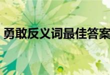 勇敢反義詞最佳答案（勇敢的反義詞是什么）