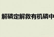 解磷定解救有機磷中毒的機制（解磷定用法）