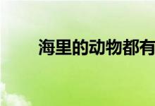 海里的動(dòng)物都有什么（海里的動(dòng)物）