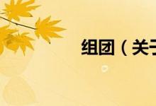 組團(tuán)（關(guān)于組團(tuán)的介紹）