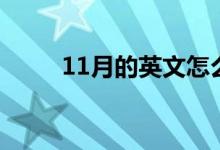 11月的英文怎么寫(xiě)（11月的英文）