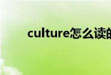 culture怎么讀的（culture怎么讀）