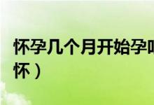懷孕幾個月開始孕吐反應(懷孕幾個月開始顯懷)