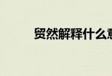 貿(mào)然解釋什么意思（貿(mào)然的意思）