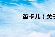 笛卡兒（關于笛卡兒的介紹）