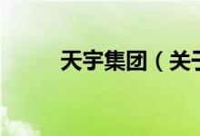 天宇集團（關(guān)于天宇集團的介紹）